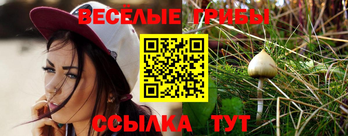Псилоцибиновые грибы ЛСД Урай